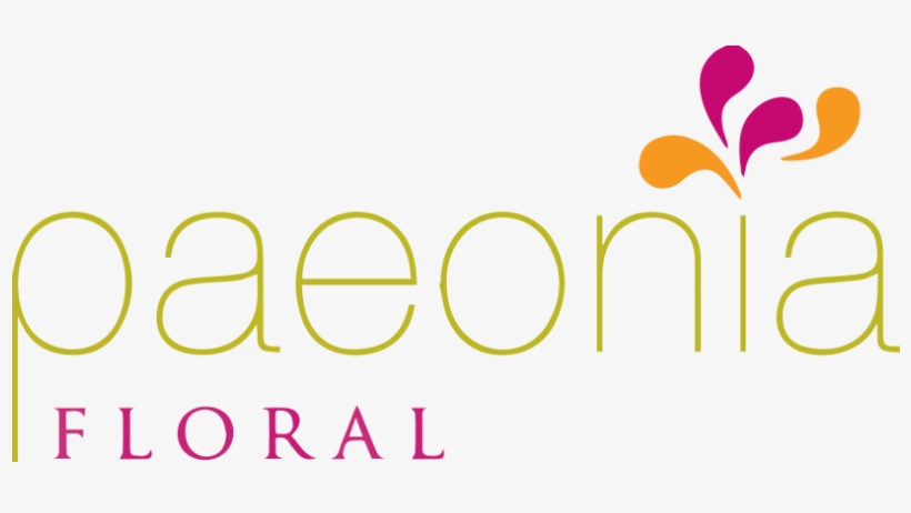 Paeonia Floral By Cardell, transparent png download