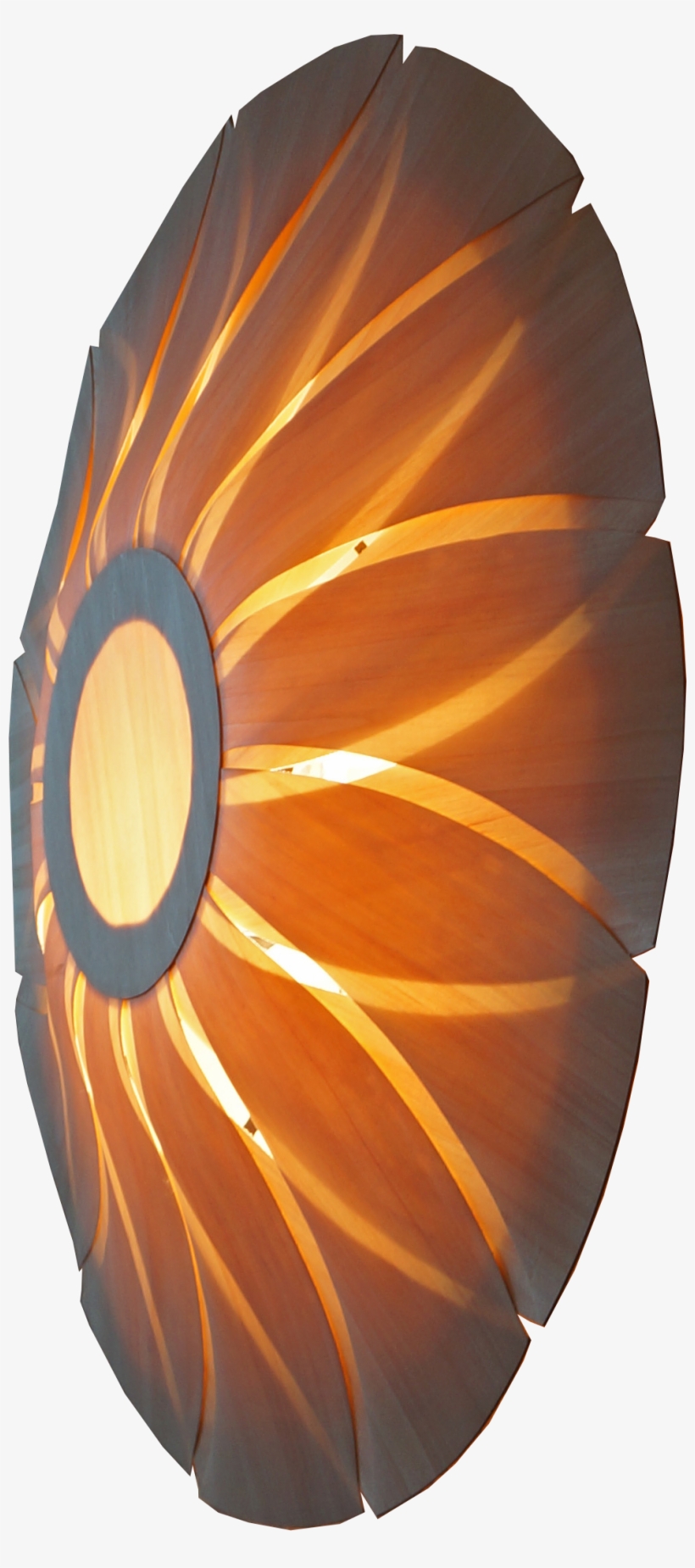 Plywood, transparent png download