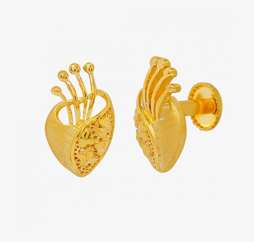 Earrings, transparent png download