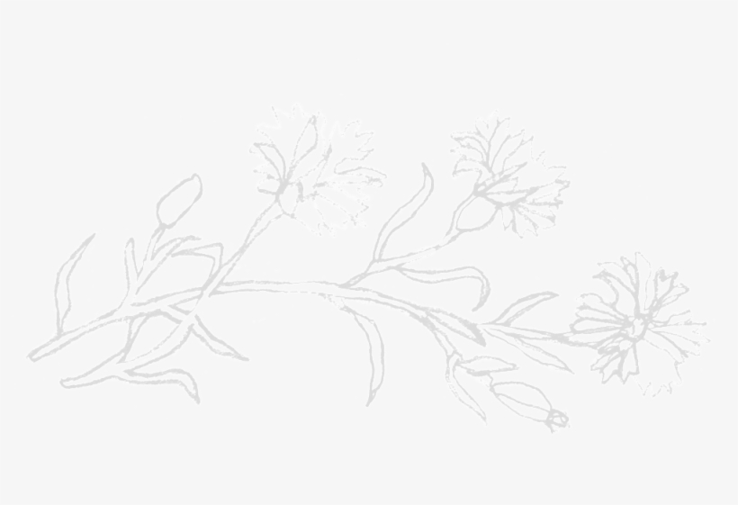 01-iconlarge - Sketch, transparent png download