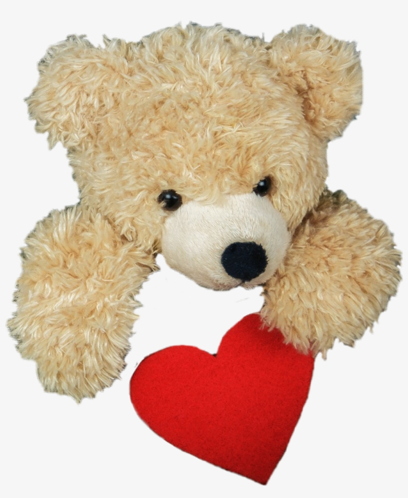 Bear Sticker, transparent png download