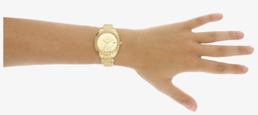 Philip Watch Time Only Lady - Sector Donna 240, transparent png download
