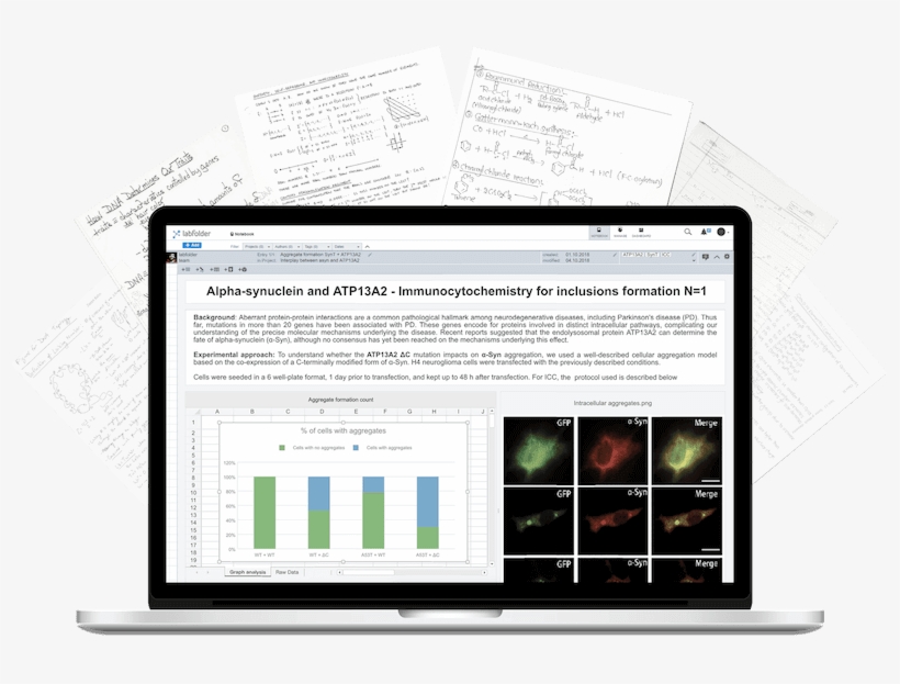 The Intuitive Way To Record Your Findings - Tablet Computer, transparent png download