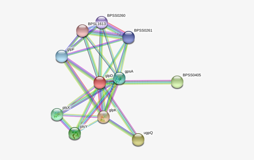 Glpd Protein - Circle, transparent png download