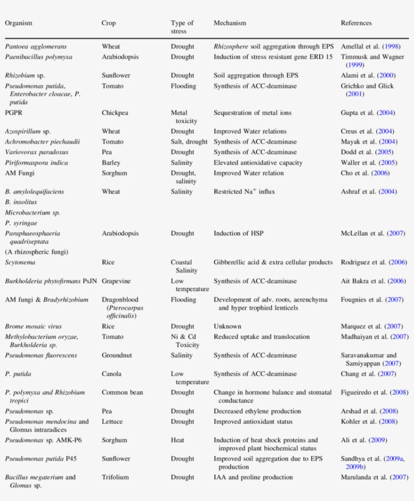 Microorganisms Conferring Abiotic Stress Tolerance - Document, transparent png download