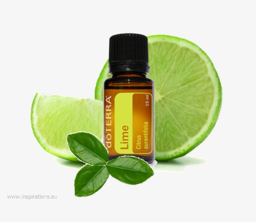 It Looks Like There Is No Email Address Associated - Lime Doterra, transparent png download