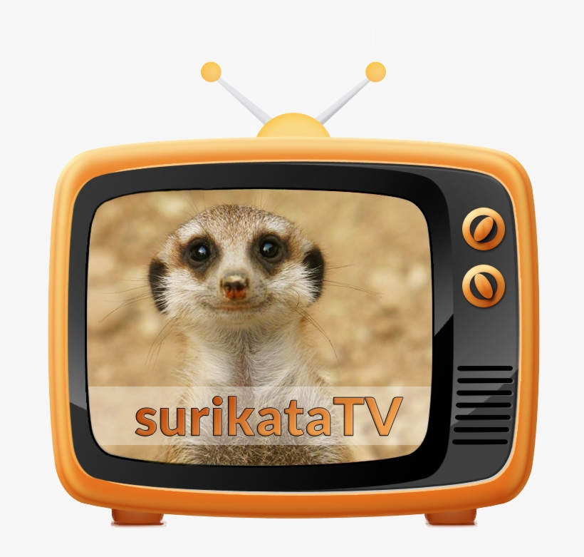 Icon - Tv Icon, transparent png download