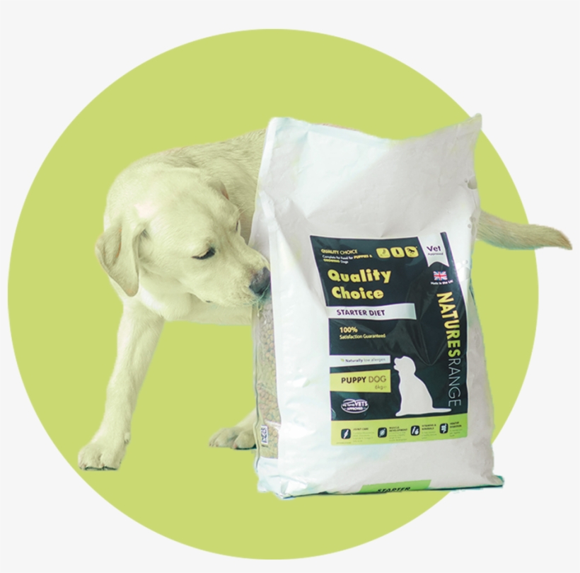 labrador puppy starter food