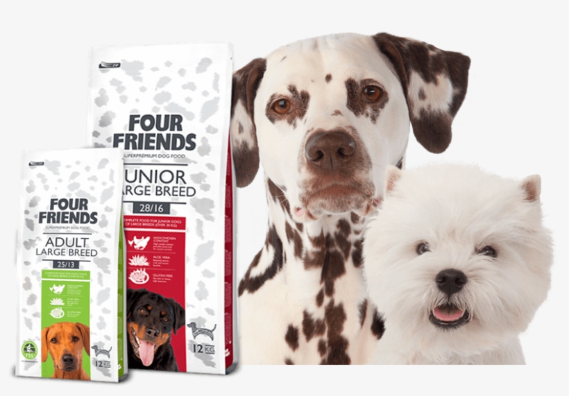 Premium Quality Dog Food - Dog Food Banner, transparent png download