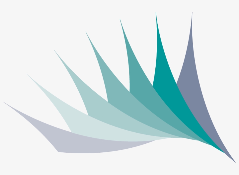 Pecker App Adobe Illustrator Beak Bird Twitter Flat - Graphic Design, transparent png download