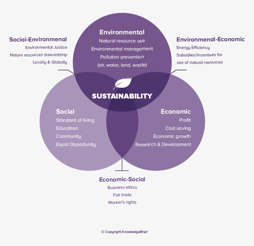 Ethical Purchasing/ethical Procurement - Diagram, transparent png download