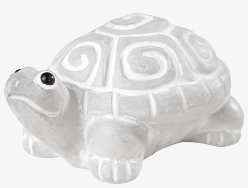 Myrtle Says, “slow And Steady Wins The Race - Chelonoidis, transparent png download