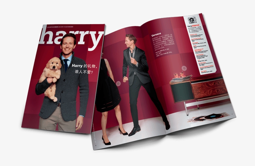 Harry Rosen Chinese Social Media Campaign Case Study - Flyer, transparent png download