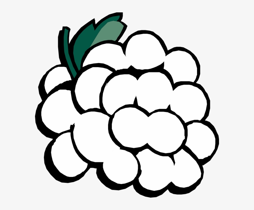Grapes Black And White Clipart Clipart Kid - Clip Art Black And White Grapes, transparent png download