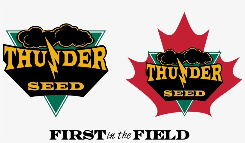 Thunder Seed Thunder Seed Thunder Seed - Thunder Seed, transparent png download