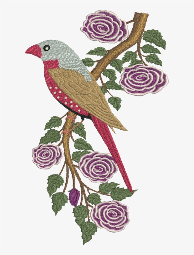 Crimson Finch - Png, transparent png download