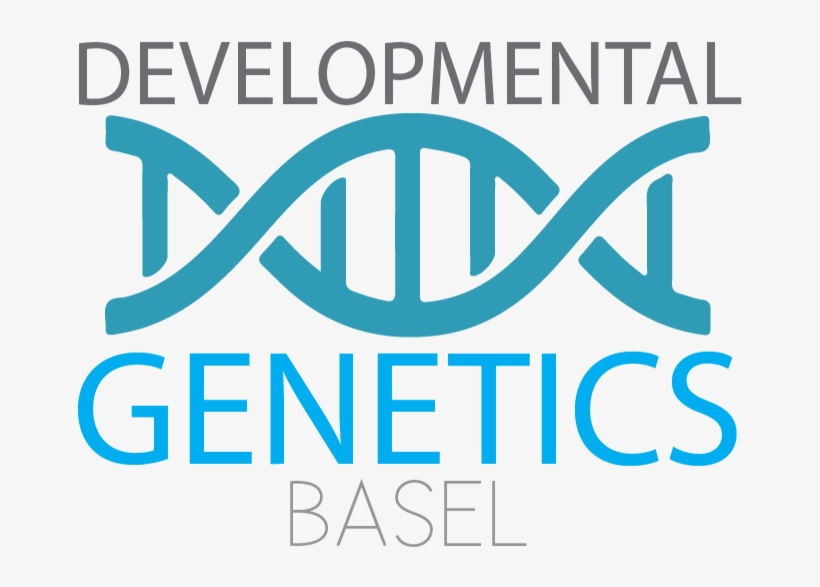 Developmental Genetics Basel Developmental Genetics - Graphic Design, transparent png download