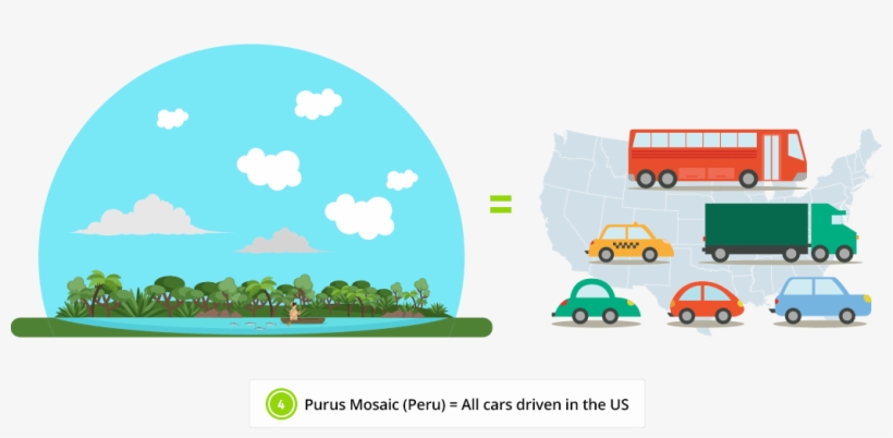 The Rainforests We Protect, Trap Co2 - Rainforest Is Changing, transparent png download