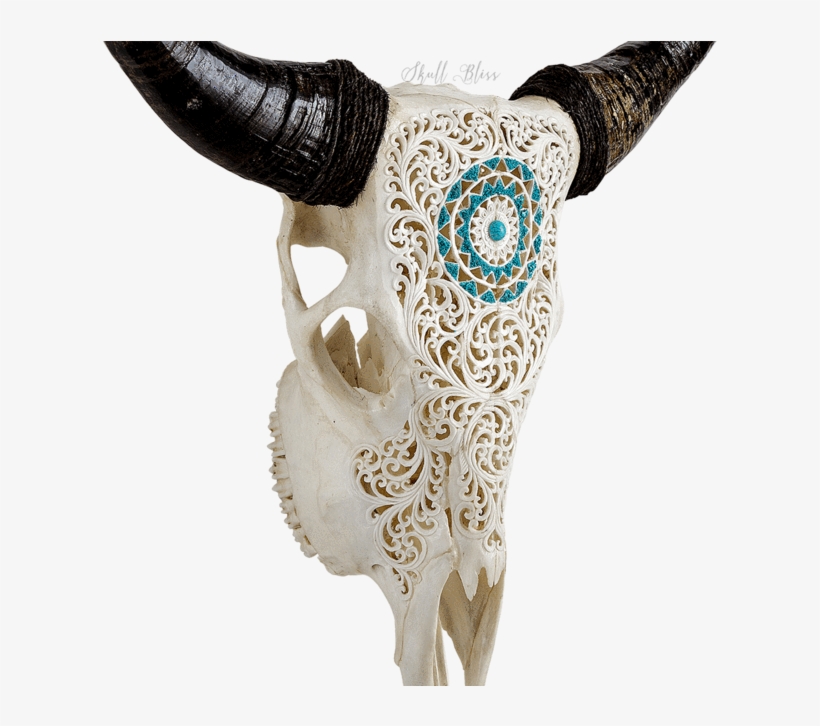 Carved Cow Skull // Xl Horns - Cow Skull Carving, transparent png download