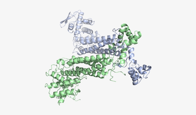 Illustration, transparent png download