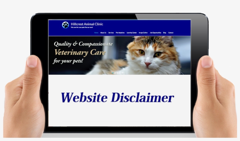 Kitten, transparent png download