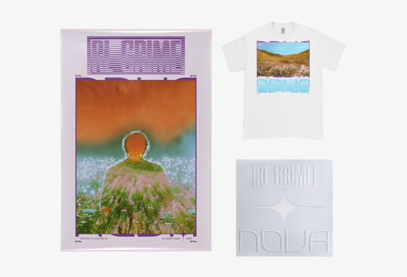 Grass, transparent png download