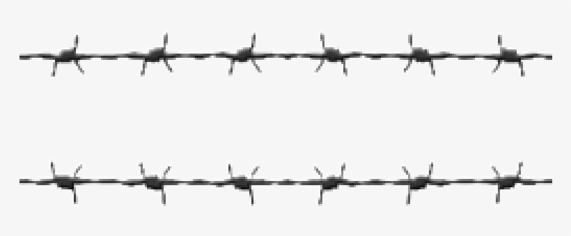 Barbwire Png Hd 765x - Barbed Wire, transparent png download