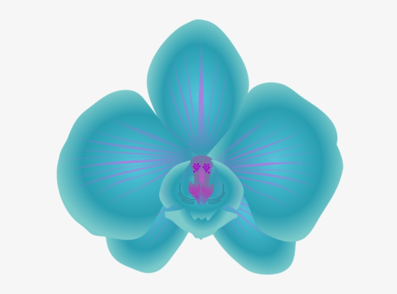 Orchid - Blue Orchids Vector Png, transparent png download