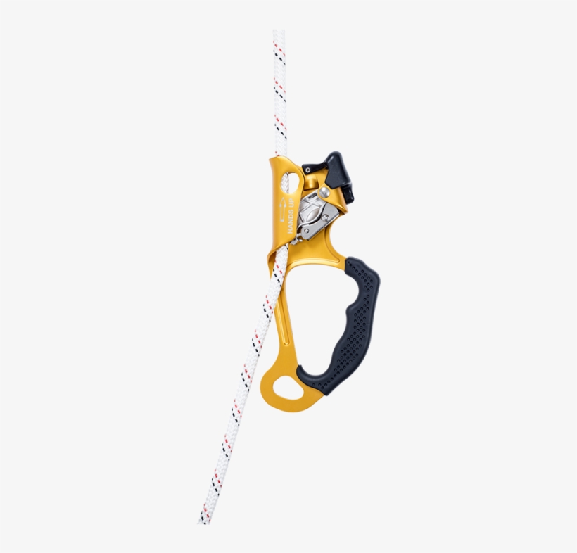Beal Hands Up - Hands Up Beal, transparent png download