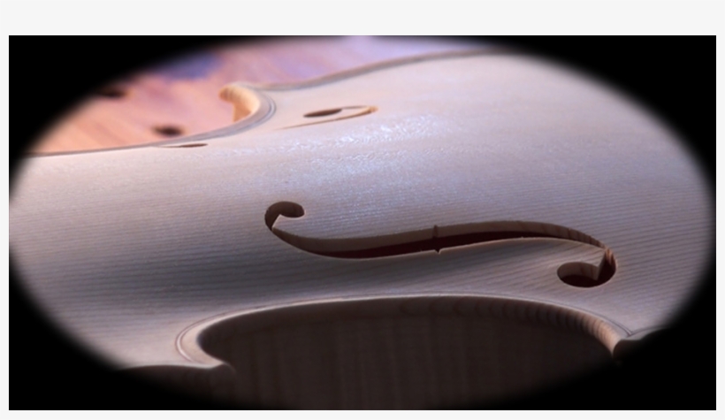 Viola, transparent png download
