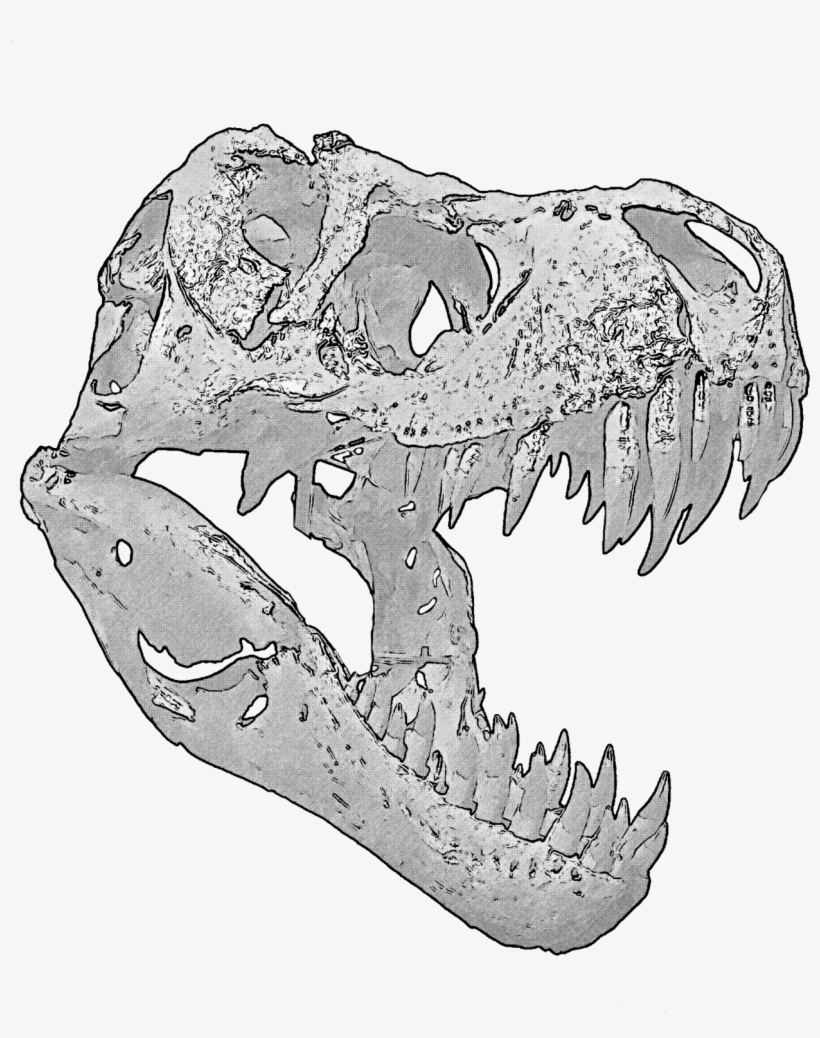 Banner Download T Rex Skull - T Rex Skull Transparent, transparent png download