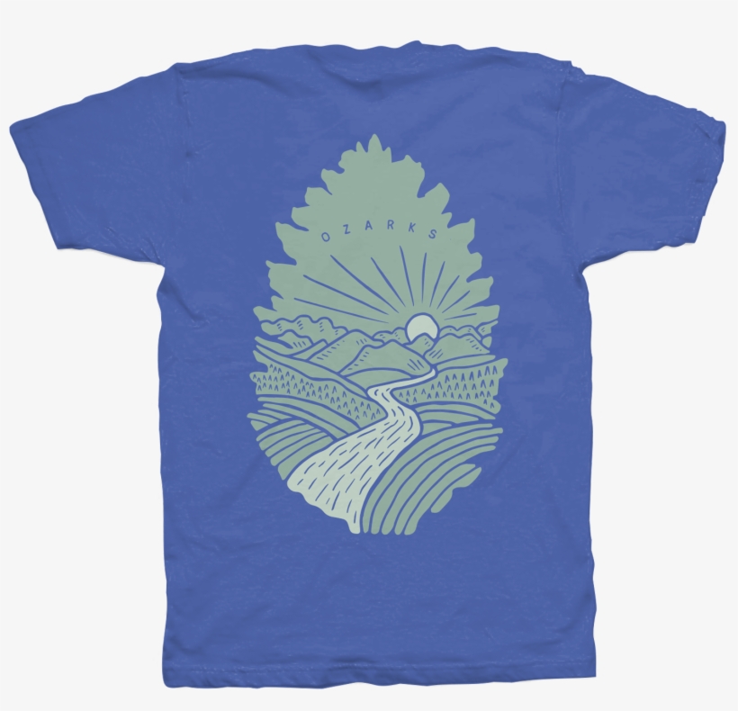 Pinecone, transparent png download