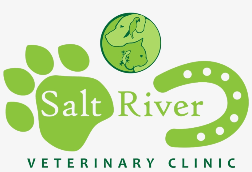 Providing Compassionate & Quality Medical - Graphic Design, transparent png download