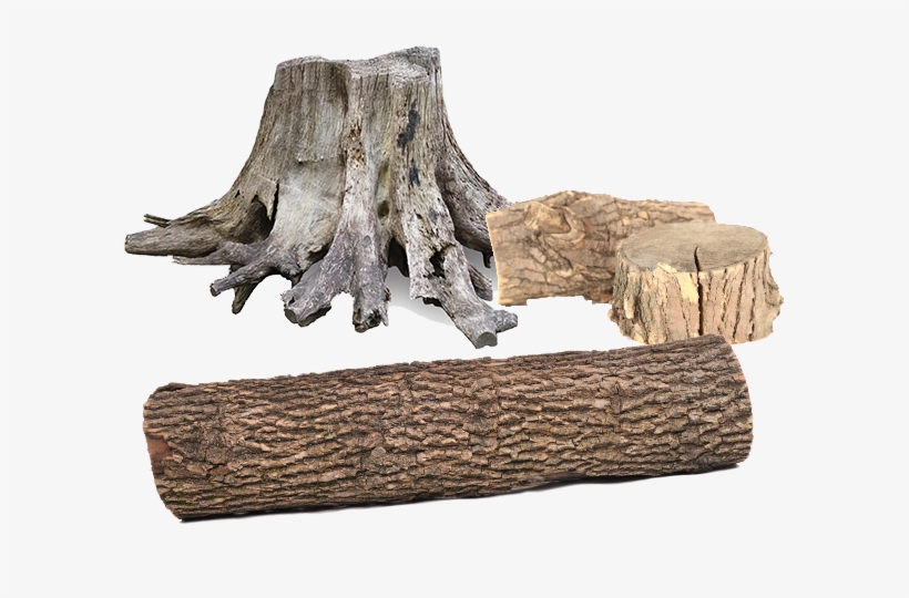 Photo By - - Wood, transparent png download