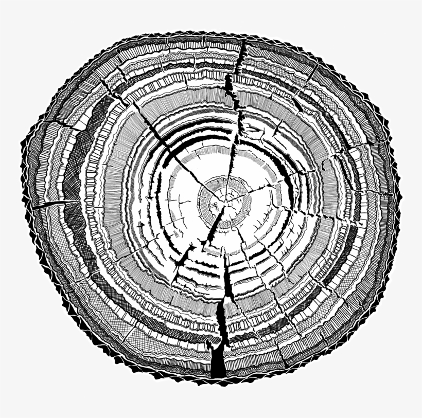 Tree Stump - Circle, transparent png download