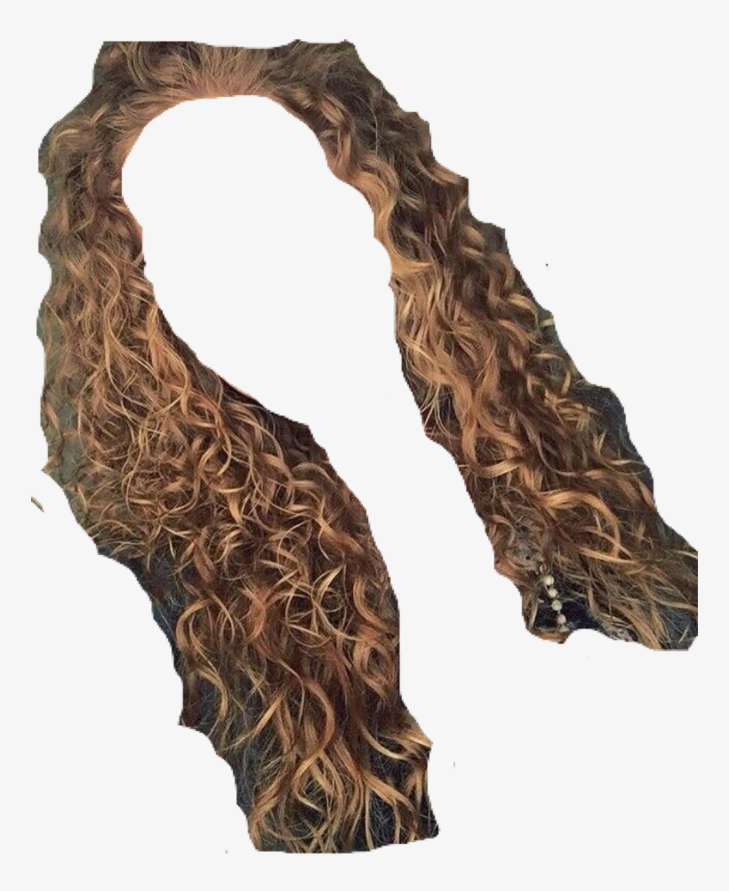Hair Png - Lange Naturlocken, transparent png download