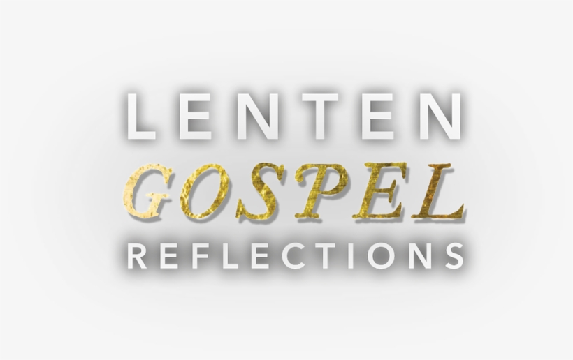 Daily Meditations From Bishop Barron - Graphics, transparent png download