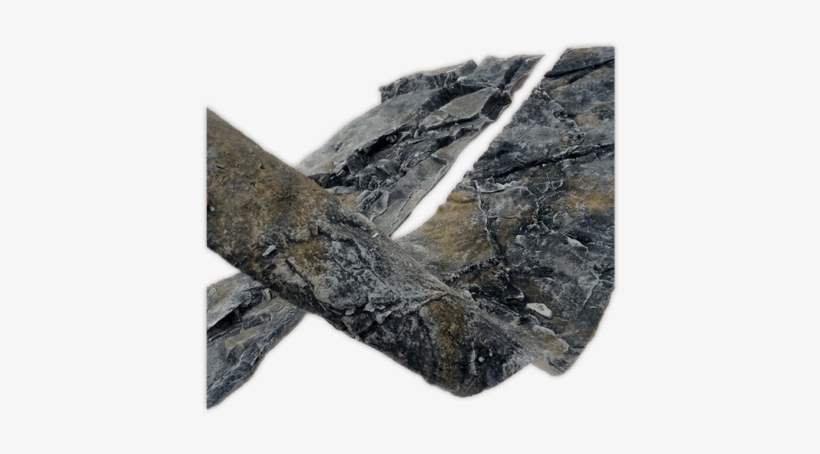 Model J1 - Eagle, transparent png download