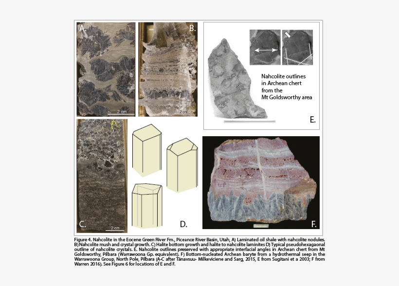 The Case For Nahcolite As A Primary Evaporite (figure - Floor, transparent png download