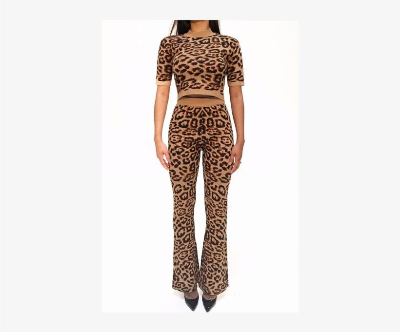 Cheetah Print Flare Pants Set - Photo Shoot, transparent png download