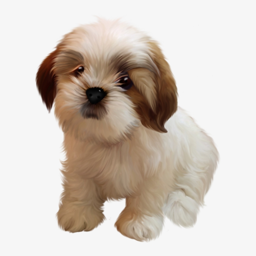 Cute Shih Tzu Clipart, transparent png download