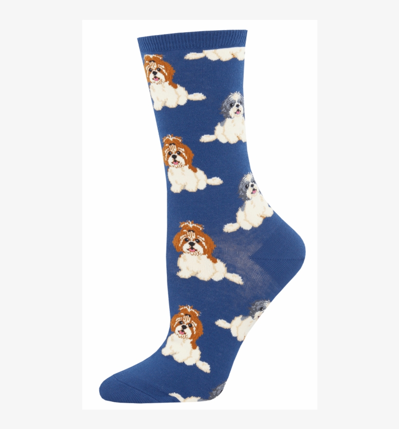 Sock, transparent png download