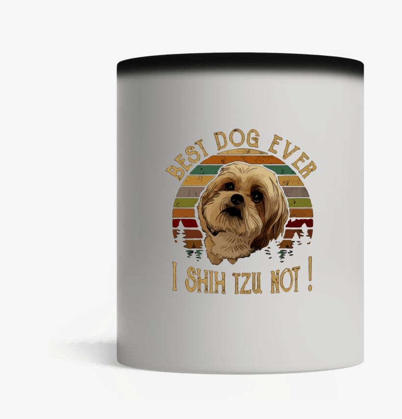 Pekingese, transparent png download