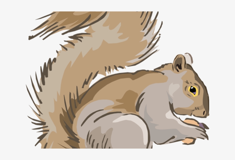 Head Clipart Squirrel - Grey Squirrel Cartoon Clipart, transparent png download