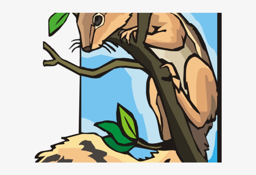 Squirrel Clipart Three - Squirrel In A Tree Clipart, transparent png download