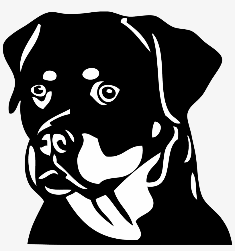 Dh11 Rottweiler - Rottweiler Black And White, transparent png download