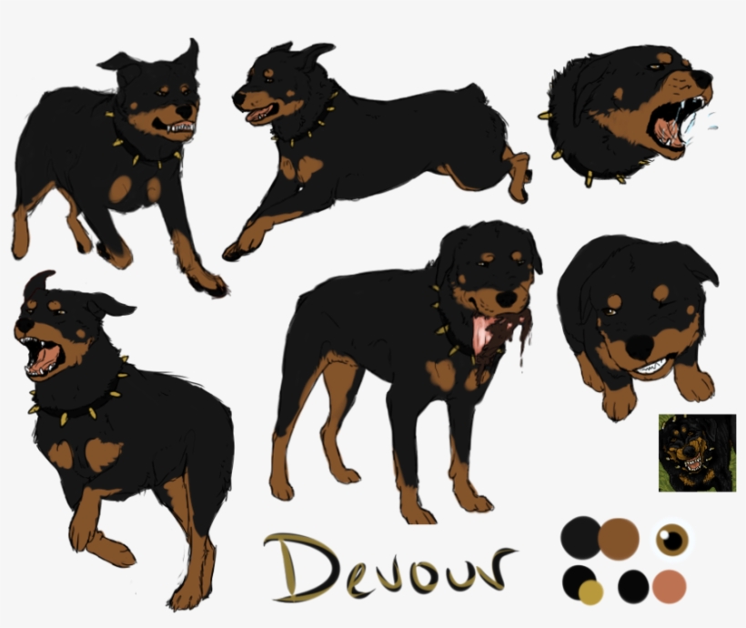 Rottweiler, transparent png download