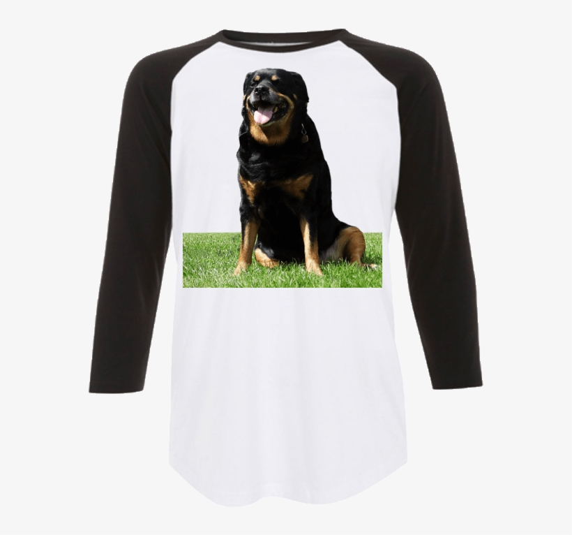 Sitting Rottweiler Baseball Shirt - Greater Swiss Mountain Dog, transparent png download