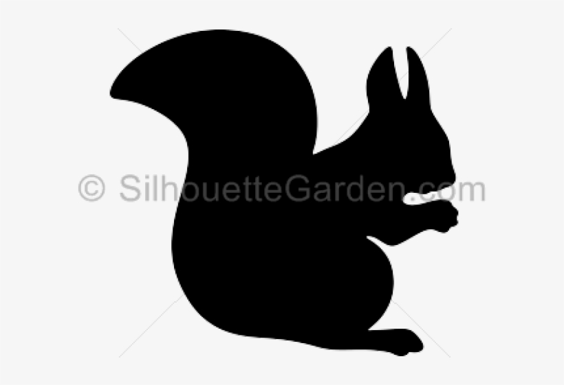 Silhouette Squirrel, transparent png download