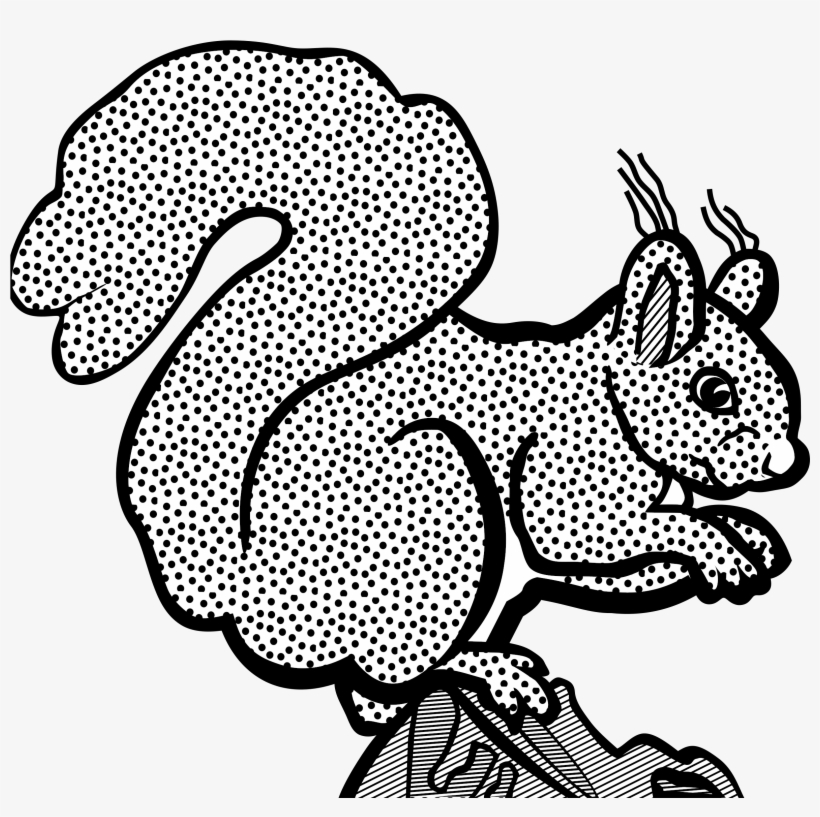 Big Image - Squirrel, transparent png download